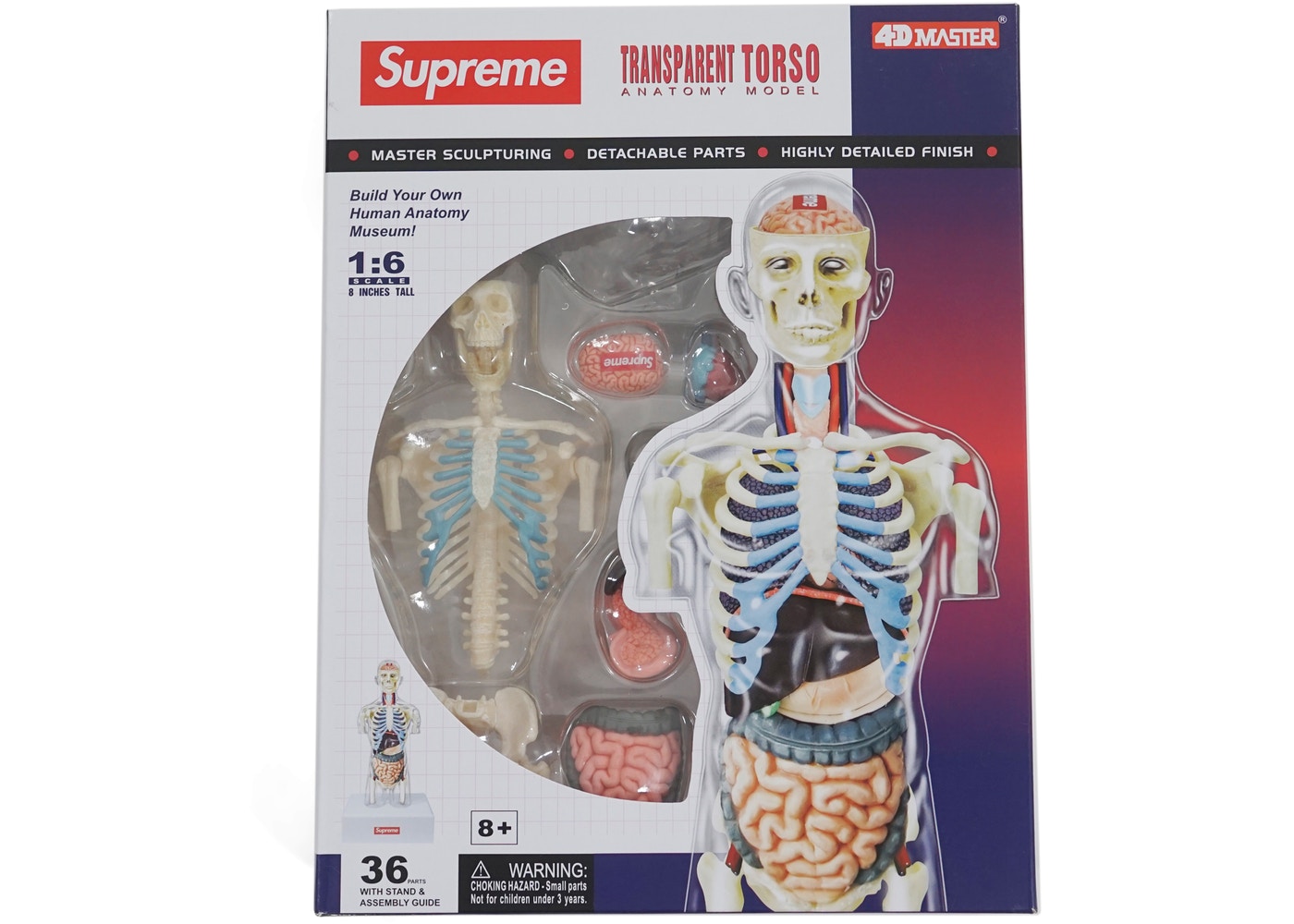 Supreme Male Anatomy Model Fall/Winter 2018 Collection