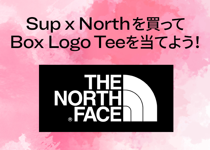 日本限定】Supreme x The North Face 新作コラボを買って